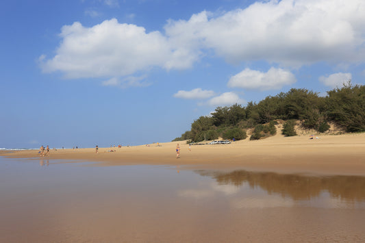 Consigli per visitare Kosi Bay iSimangaliso Wetland Park