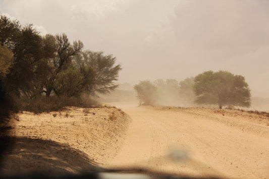 Itinerario e percorso al Parco Transfrontaliero di Kgalagadi