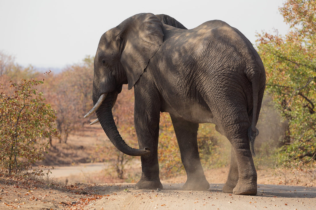 Guida alle province Sudafricane