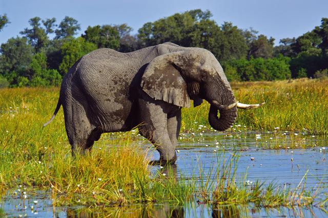 NAMIBIA GRANDE VUOTO ANIMA PRIMORDIALE partenza 3 Settembre 2025