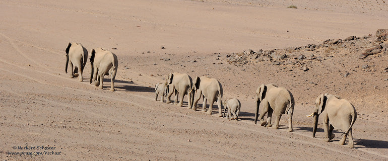 NAMIBIA GRANDE VUOTO ANIMA PRIMORDIALE partenza 3 Settembre 2025