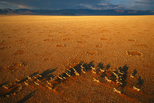 NAMIBIA GRANDE VUOTO ANIMA PRIMORDIALE partenza 3 Settembre 2025