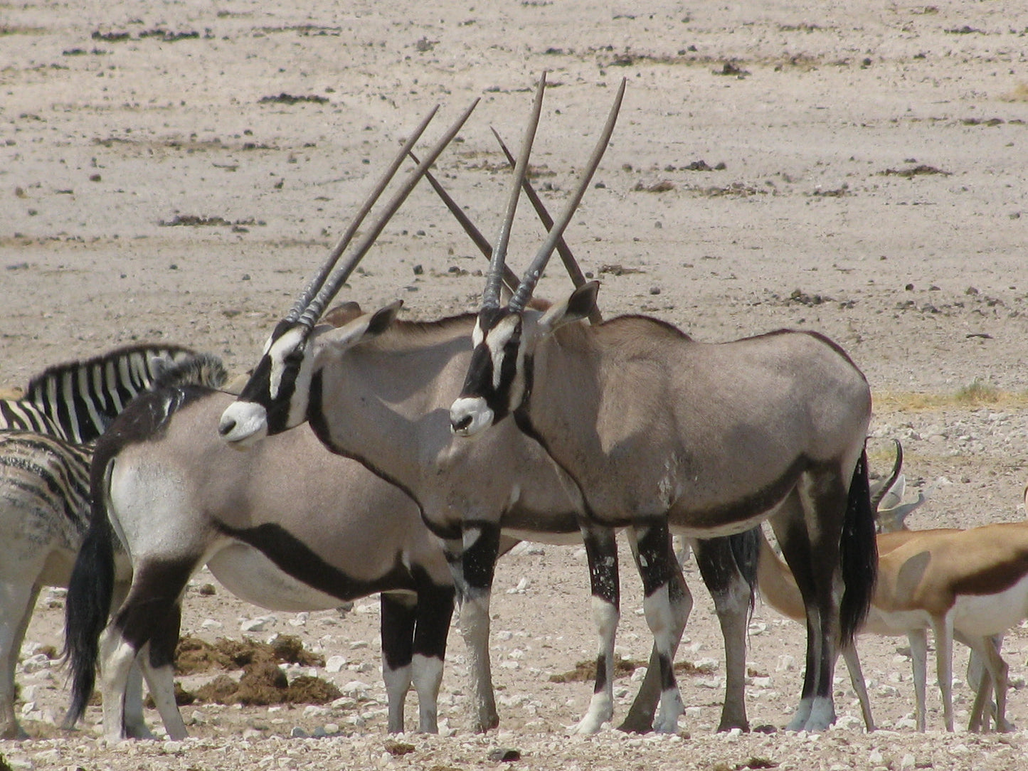 NAMIBIA GRANDE VUOTO ANIMA PRIMORDIALE partenza 3 Settembre 2025