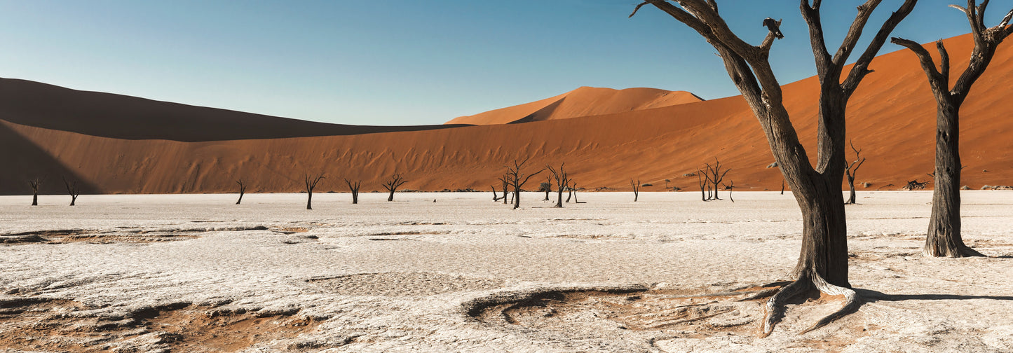 NAMIBIA GRANDE VUOTO ANIMA PRIMORDIALE partenza 3 Settembre 2025