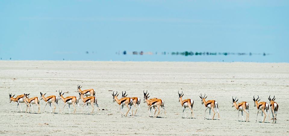 NAMIBIA GRANDE VUOTO ANIMA PRIMORDIALE partenza 3 Settembre 2025