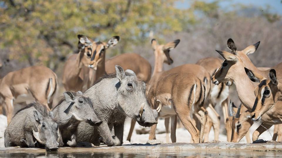 NAMIBIA GRANDE VUOTO ANIMA PRIMORDIALE partenza 3 Settembre 2025