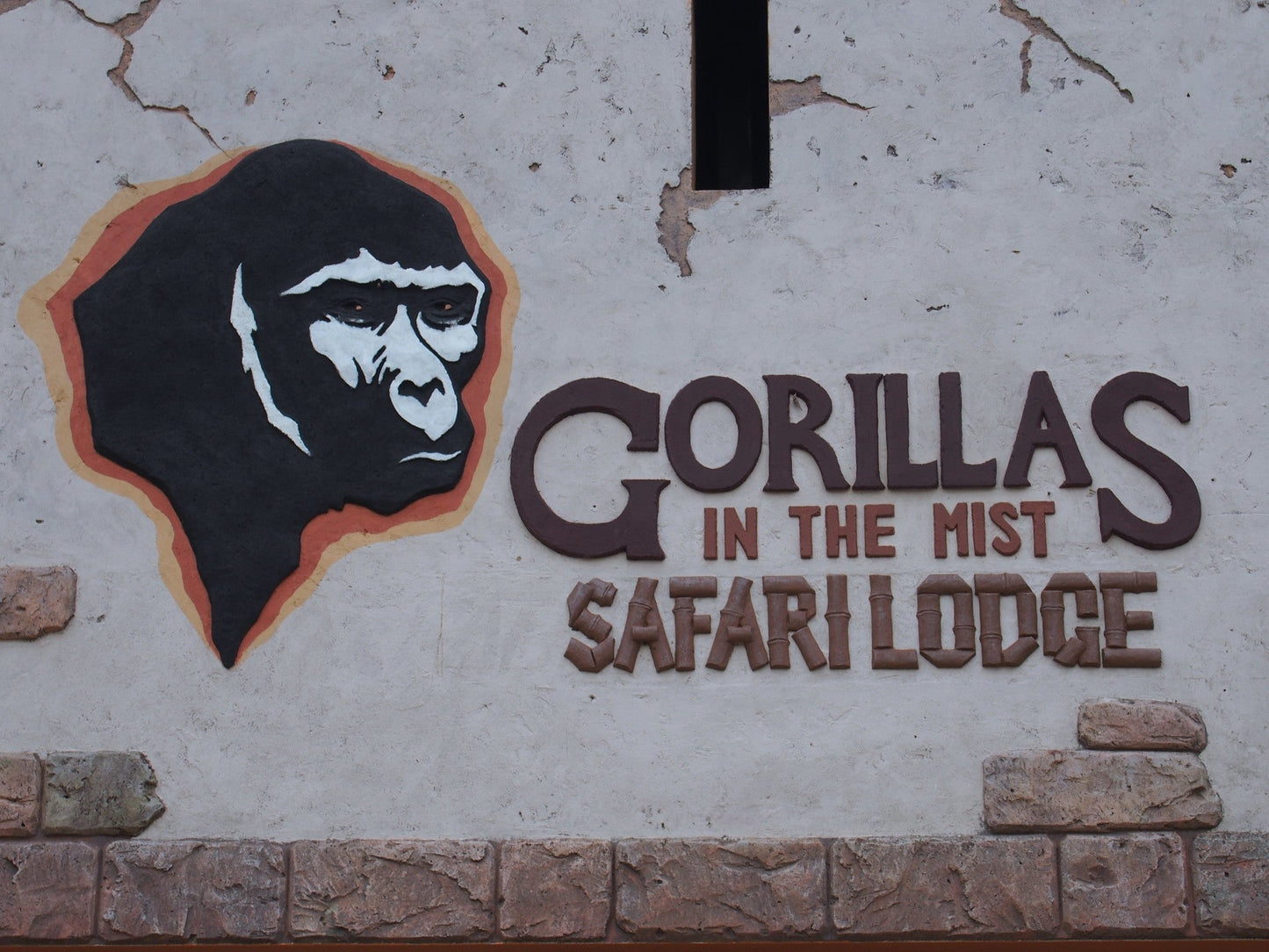 " INCONTRO CON I GORILLA "  20 Agosto 2025 viaggio di gruppo in Truck sistemazione Lodge