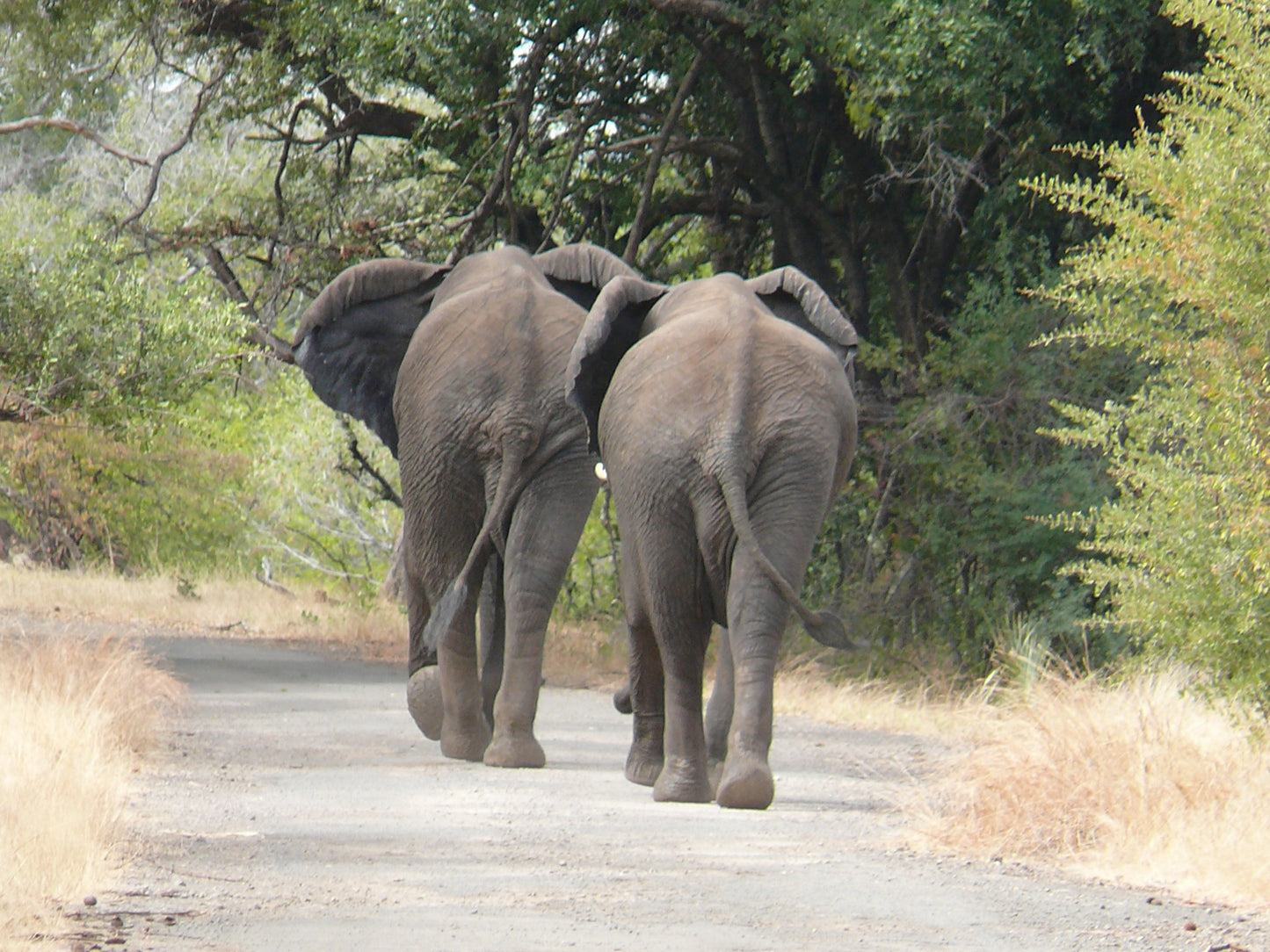 ZAMBIA MALAWI VIAGGIO SPEDIZIONE PARTENZA 8 AGOSTO 2025