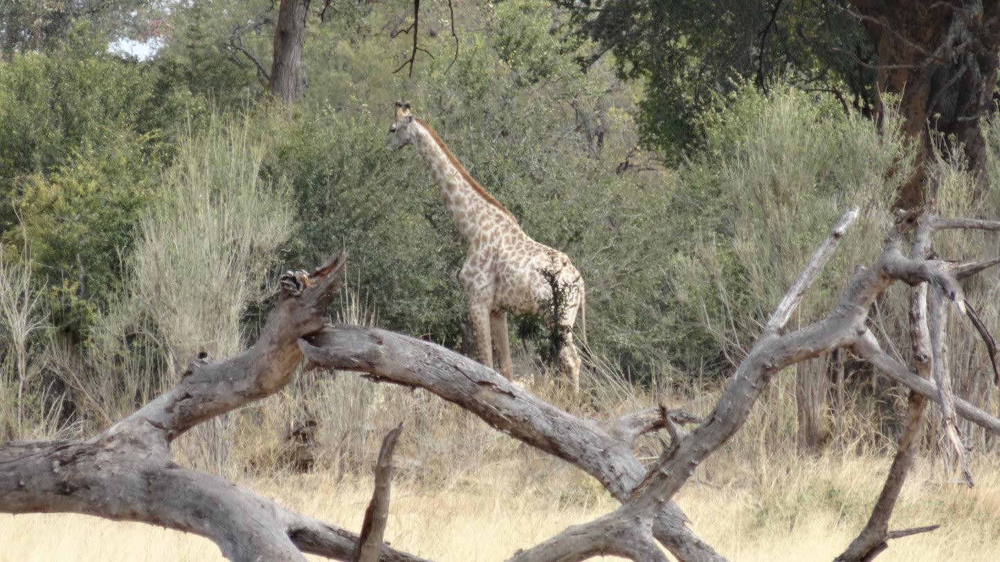 ZAMBIA MALAWI VIAGGIO SPEDIZIONE PARTENZA 8 AGOSTO 2025