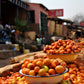 ZAMBIA MALAWI VIAGGIO SPEDIZIONE PARTENZA 8 AGOSTO 2025