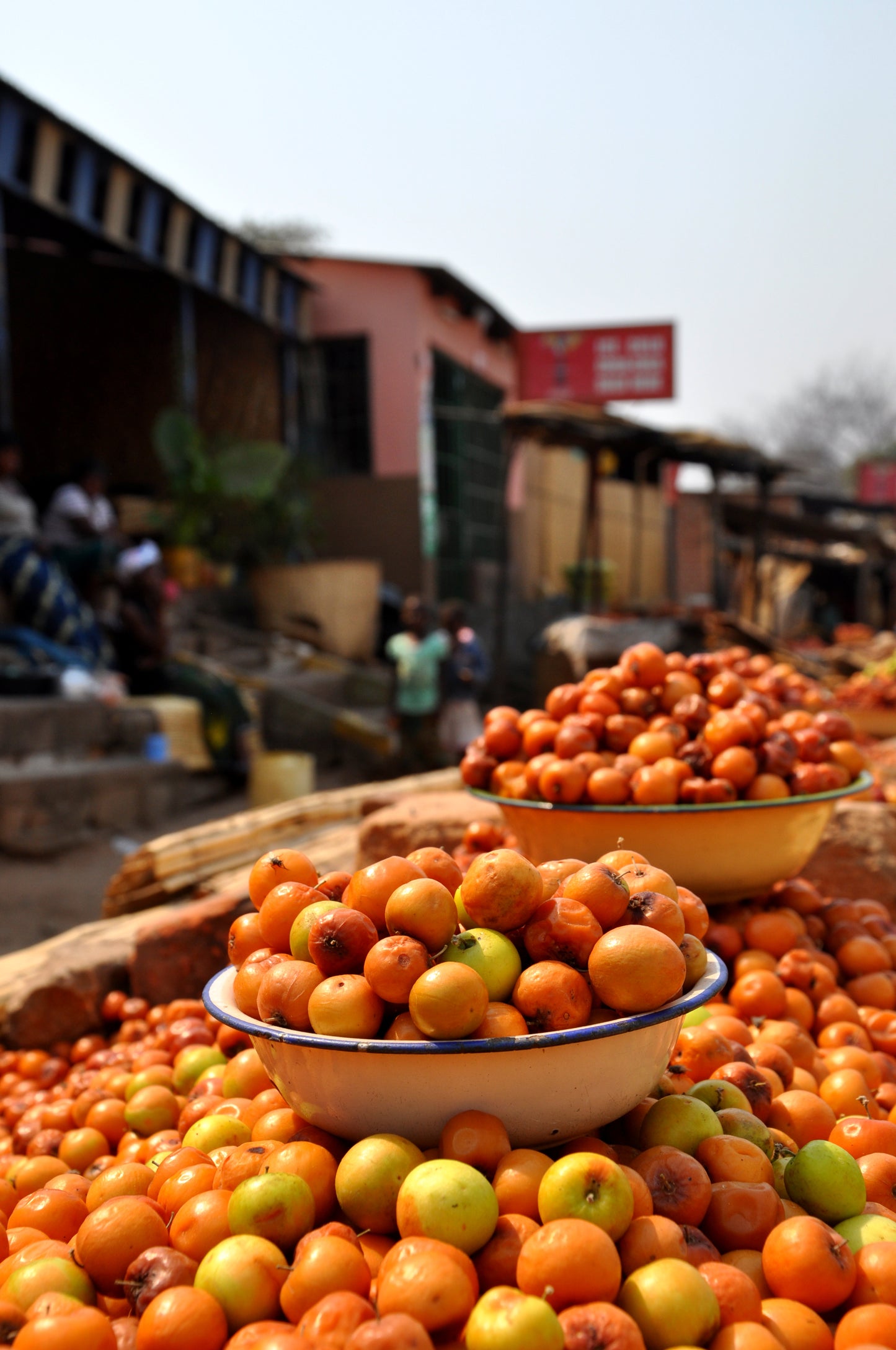 ZAMBIA MALAWI VIAGGIO SPEDIZIONE PARTENZA 8 AGOSTO 2025